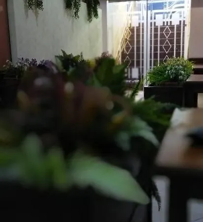 酒店 Orange 地拉那